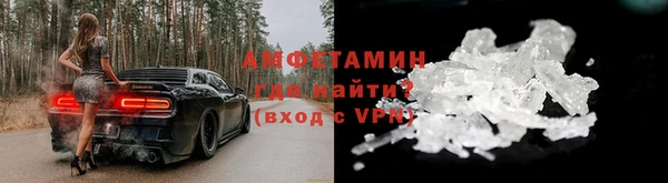 прущие грибы Магас