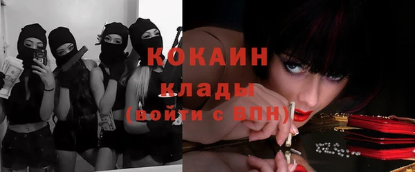 прущие грибы Магас