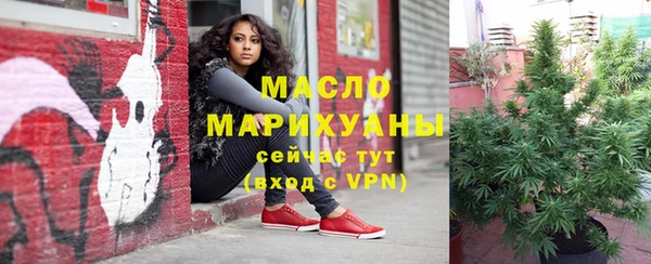 прущие грибы Магас