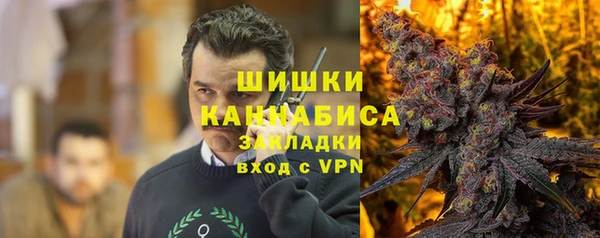 прущие грибы Магас