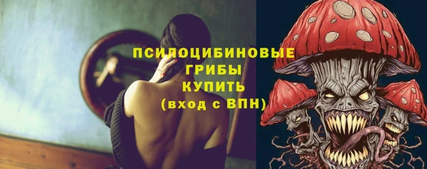 apvp Магадан