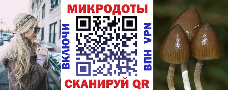 Галлюциногенные грибы Psilocybine cubensis  Шахунья 